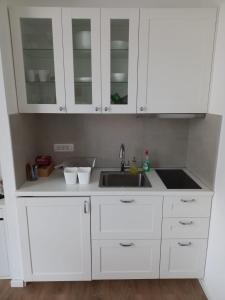 Kuchyňa alebo kuchynka v ubytovaní ZAGRABY APARTMENT