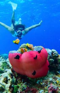 eine Person, die im Ozean neben einem roten Schlauchkörper schwimmt in der Unterkunft Thari Fushi Luxury Maldivian Experience - All Inclusive in Thinadhoo