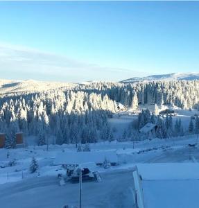 Apartman Sky View, Župa Wellness & Spa u Centru Kopaonika tokom zime