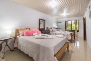 a bedroom with two beds with pink pillows at Casa Danta in Drake