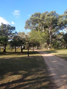 een onverharde weg in een veld met bomen op de achtergrond bij Cabaña en Ibicuy in Ibicuy