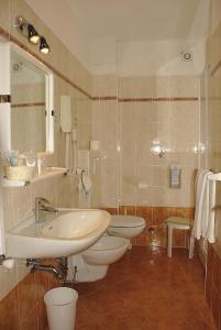 W łazience znajduje się umywalka, toaleta i lustro. w obiekcie Charme Hotel Nevada w mieście Molveno