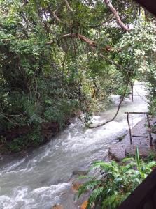 Naturlandschaft in der Nähe des Resorts