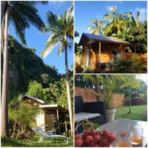 tres fotos de una casa y una palmera en Bunga-lodge VANILLE en Saint-André