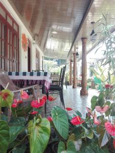 Gallery image of Cinnamon Homestay ella in Ella