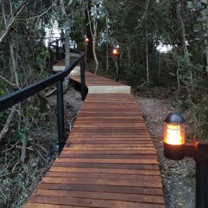 a wooden path in the woods with lights on it at The Stargazing Cube - Misty Mountain Reserve in Stormsrivier