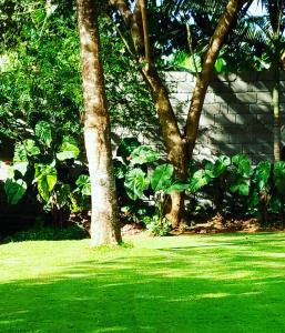 A garden outside Kundayo Serviced Apartments Lodge