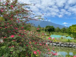 Lanskap alam di dekat homestay