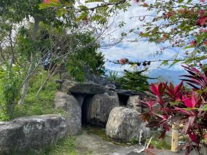 Lanskap alam di dekat homestay