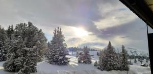 Studio cosy avec balcon et vue sur la montagne à Chamrousse - 19 m² v zimě