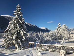 Appartements Rosenstockl talvel