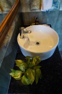 马拉里Amarys Boutique Stays Manali的浴室水槽,有一大堆绿叶
