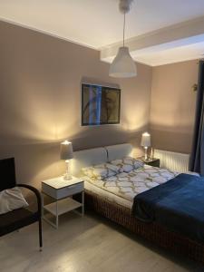 Posteľ alebo postele v izbe v ubytovaní Apartament Grafitowy Willa Laser