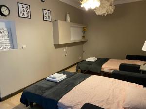 Posteľ alebo postele v izbe v ubytovaní Apartament Grafitowy Willa Laser