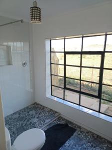 ein Badezimmer mit Dusche und Toilette und einem Fenster in der Unterkunft Yardley Cottage in Colesberg + 9 Fotos