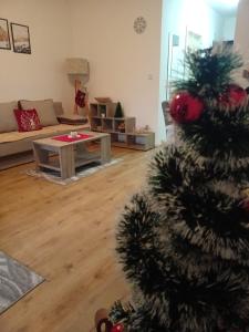 Imagine din galeria proprietății Anilux studio în Vrnjačka Banja +31 fotografii