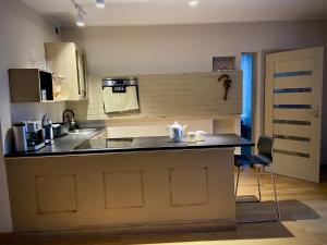 Kuchyňa alebo kuchynka v ubytovaní Apartament Grafitowy Willa Laser