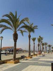 Gallery image of Apartamentos Margoysa I in Los Alcázares