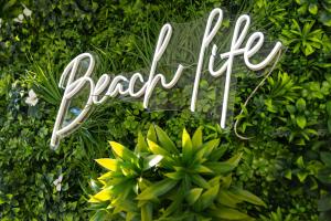 a sign that reads back life in front of a plant at Locarno in Nice