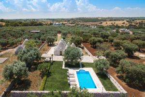 an aerial view of a garden with a swimming pool at Trullo Due Ulivi in Monopoli