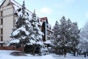 Gallery image of Edelweiss in Yaremche +110 photos