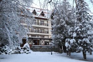Gallery image of Edelweiss in Yaremche