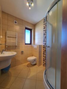 a bathroom with a toilet and a sink and a shower at Villa Amber in Międzywodzie
