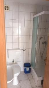 a bathroom with a toilet and a sink and a shower at Apartments Dujlovic in Privlaka