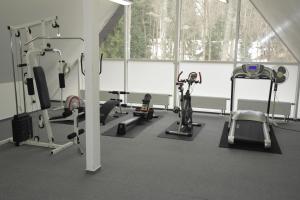 a gym with several machines and a large window at Wellness hotel Harrachovka in Harrachov