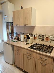 a kitchen with a stove and a counter top at Apartament Andreas in Arad