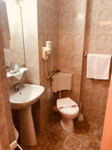 a small bathroom with a toilet and a sink at HOTEL MUNTENIA in Campina