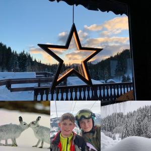 Fotografie z fotogalerie ubytování La Chanterelle - Mountain Lodge v destinaci La Côte dʼArbroz