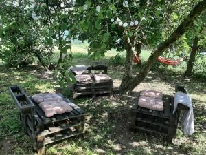 Vonkajšia záhrada v ubytovaní Stodoła HOME&CHILL
