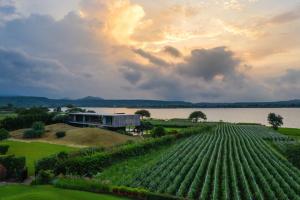 Φωτογραφία από το άλμπουμ του Beyond by Sula σε Nashik