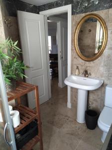 A bathroom at reina sofia 45