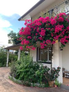 Fotografie z fotogalerie ubytování POP B&B v destinaci Dayin