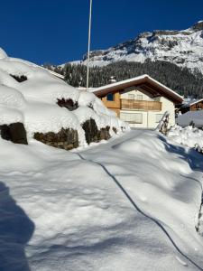 El Cantun - 7 Zimmer Einfamilienhaus mit 200m2 v zimě
