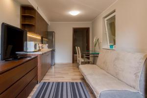 Televízia a/alebo spoločenská miestnosť v ubytovaní Apartamenty Gdynia