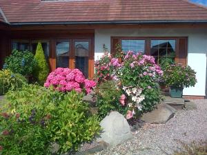 a bunch of flowers in front of a house at Pinetree Lodge Druridge Bay in Amble +15 photos