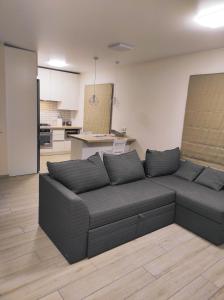 sala de estar con sofá y cocina en Апартаменти біля Домініканського костелу, en Kamianets-Podilskyi