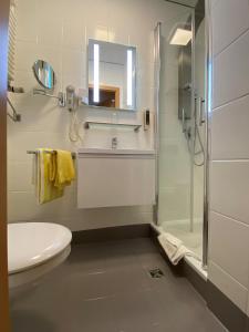 La salle de bains est pourvue d'une douche, de toilettes et d'un lavabo. dans l'établissement Landhotel Grabinger, à Schwandorf in Bayern