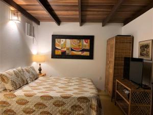 1 dormitorio con 1 cama y TV de pantalla plana en Casa Aldeia dos Pescadores - Agora com suíte e varanda no mezanino - PET Friendly, en Praia do Forte