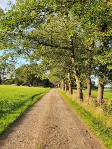 een onverharde weg met bomen aan de zijkant van een veld bij Leuk boerderijtje op prachtige plek, nabij natuurgebied in Ruurlo