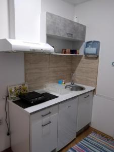 Eldhús eða eldhúskrókur á Apartman Linera