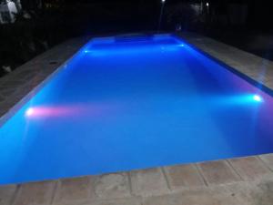 Piscina en o cerca de Cycad Palm Diani