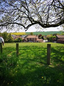 a person standing in a field of green grass at Westmoreland Cottage in Weaverthorpe