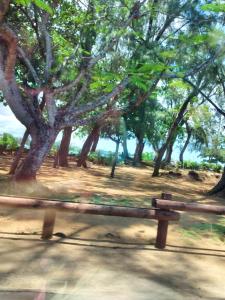 a wooden bench in a park with trees at Idyllic Villa in Pereybere with Private Pool in Pereybere