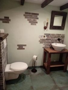 a bathroom with a white toilet and a sink at B&B Wood, Food & More in Alphen