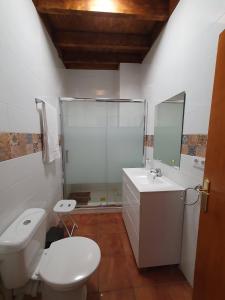 een badkamer met een toilet, een wastafel en een douche bij CASA BAUTISTA - ROTGLÀ in Rotglá y Corbera