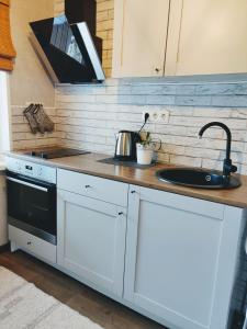 a kitchen counter with a sink and a stove at Kotkapesa Apartment in Kiviõli